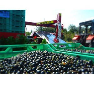 Masina de recoltat coacaze Joanna-5