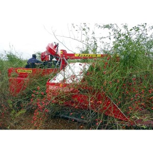 MASINA DE RECOLTAT MACESE JOANNA-4